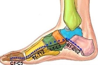 Nerve Reflexology for Pain Management & Chemotherapy Induced Peripheral Neuropathy